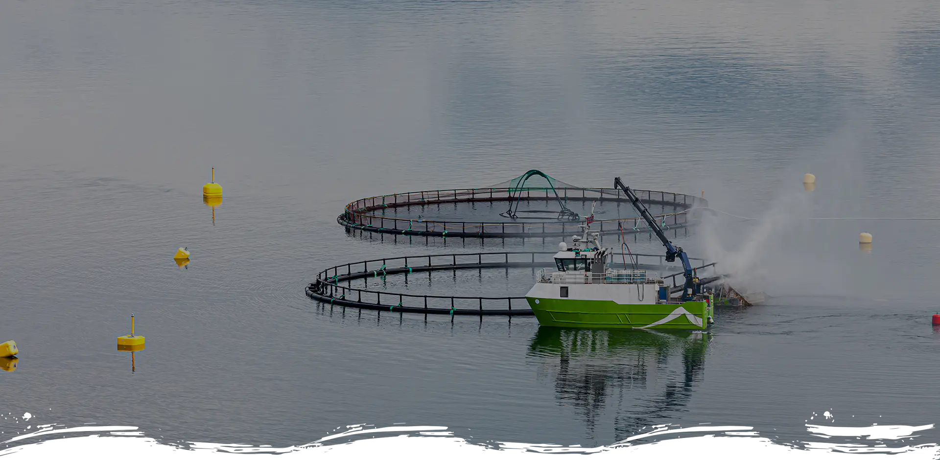 Nantong Yangfan Marine Equipment Co., Ltd.